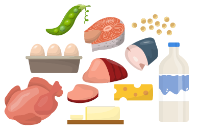 alimentos que são fontes de proteína