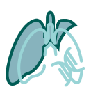 Analises laboratoriais