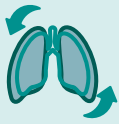 EXAMES NECESSÁRIOS PARA AVALIAÇÃO
PRÉ-TRANSPLANTE PULMONAR